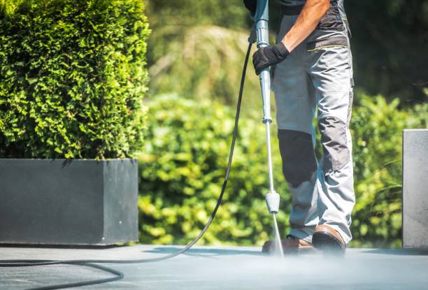 Best Rust Removal  in Jonesville, VA
